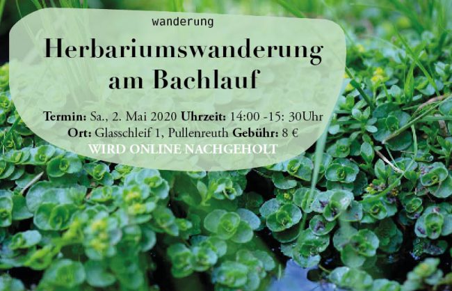 archwild_corneliamueller_termine2 archwild_corneliamueller_termine2