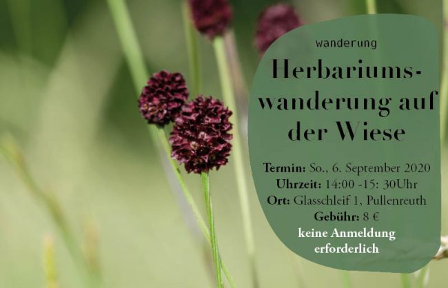 archwild_corneliamueller_termine9 archwild_corneliamueller_termine9